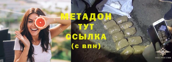 шишки Арсеньев