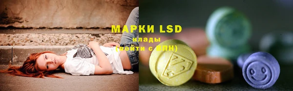 шишки Арсеньев