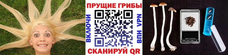 Псилоцибиновые грибы мицелий  ОМГ ОМГ ТОР  Калачинск 